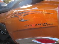 newest farkles on RTS-SE6 COGNAC 005.jpg