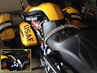 Spyder and spiked collar A.jpg