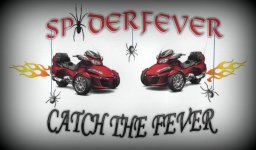 Spyderfever logo shrunken version shading.jpg