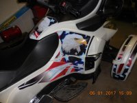 SPYDER WIT PATRIOT DECALS (3).jpg