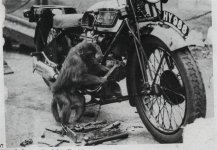 monkeymechanic.jpg
