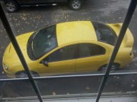 2010-10-25 08.54.06.jpg