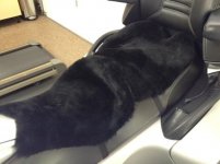 seat cover.jpg