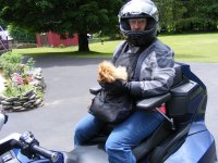 Shakedown Cruise 004.jpg