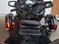 Both Fenders Other lights right TricLED left.jpg