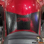 Alligator Mini Tank 22.jpg