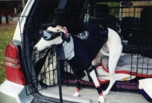 Jenny Latte, Biker Chick.jpg