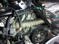 Copy (2) of Montréal-20120221-00364.jpg