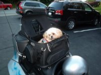 SAM_0374 (500x375).jpg