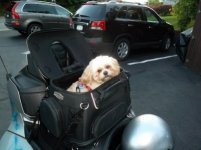 SAM_0375 (500x375).jpg