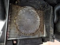 F3L Radiator 10086.jpg