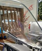 windshield sparkles.3.jpg