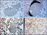 Screen Shot 2019-11-08 at 6.35.35 PM.jpg