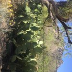 IMG_1548 - Edited.jpg