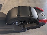 4-straps with footman loops.jpg