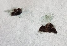 Original Clutch Reserve 2_resize.jpg