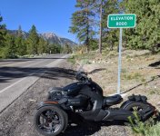 Lee Canyon 8000 ft 17 July 202 cropped.jpg