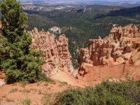 16-Ponderosa Point elevation 8904.jpg