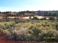 Coral Pink Sand Dunes State Park, UT-16 Jan 2018 (1).jpg