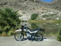 18-Rogers Spring-7 Oct 2017.jpg