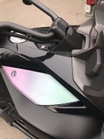 panel in light 2.jpg