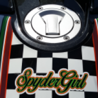 SpyderGirl
