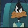 DuckDodgers