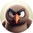 GrumpyGreyKiwi