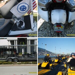 Spyderbob3's pictures