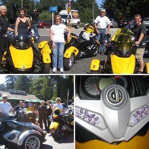 Bella Rose (Rosie) the Butterfly and Friends