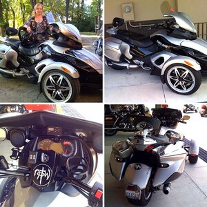 Miz Muffet's Spyder '08 SM5