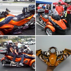 ORANGE & BLUE SPYDER!