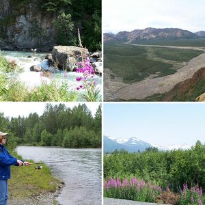 2009--The Alaska Gallery