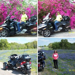 Syclemom and West Texas Bluebonnets