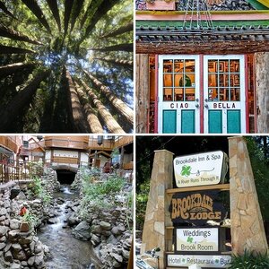 Rumble Through The Redwoods (Santa Cruz, CA)