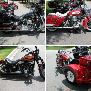 Southern Throttle Rally