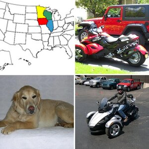 DOG'S, SPYDER AND JEEP