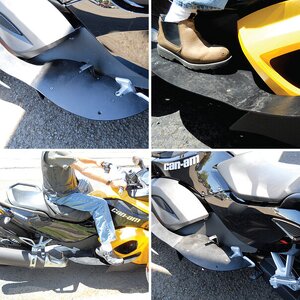 Seal floorBoards photos