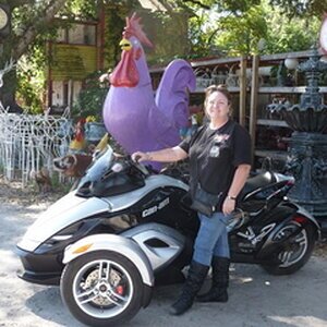 purple chicken
