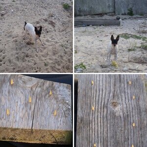 PCBeachBum's Spyder Mods