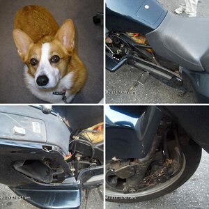 My poor old 1987 Pacific Coast 800