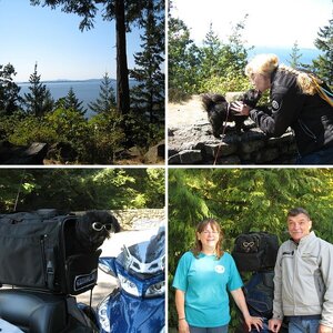 Five Ryder Gang on Chuckanut Drive