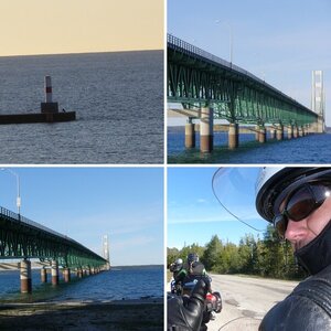 Tunnel of Trees Ride 2011