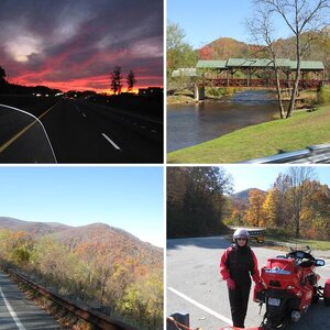 A Greyhound and the Dragon