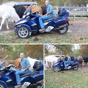 Do they think my spyder is sexy