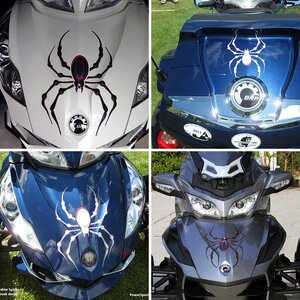 Spider decal: Bellerdine spider Isolated
