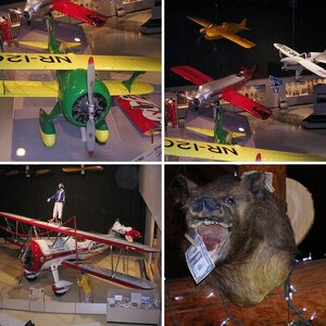 Wisconson Road Run 2011