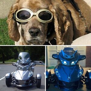 Madonna's 2012 RT-S SE5