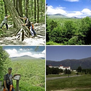 Bike Week Laconia Sights