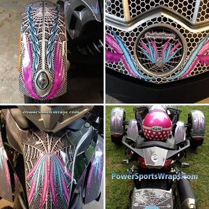 Feather Wings Spyder RS 24 piece decal kit